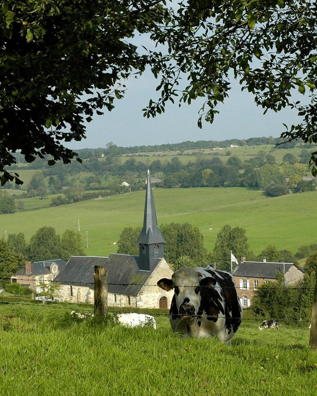 Gite "Le Refuge" Dans Un Domaine De 7Ha Au Calme Vimoutiers 외부 사진